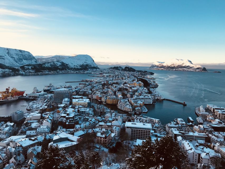 Ålesund: Ålesund and Surrounding Islands Audio Guide Tour - Who will enjoy this tour most