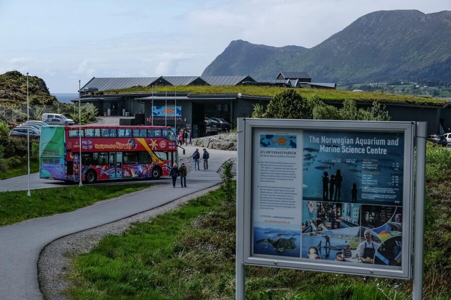 Alesund: City Sightseeing Hop-On Hop-Off Bus Tour - Stop 5: Tourist information