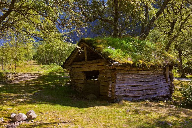 Alesund Shore Excursion: The Ultimate Sightseeing Tour - Sunnmøre Museum: Ålesund’s past in an open-air setting
