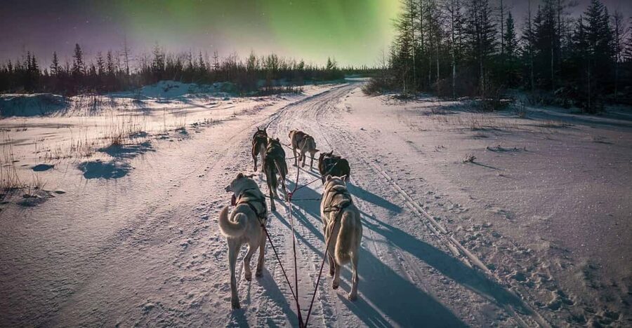 Alta: Dog Sledding Trip under the Northern Lights - Getting dressed for an Arctic night