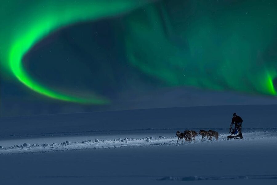 Alta: Dog Sledding Trip under the Northern Lights - Chasing the Northern Lights, without a promise