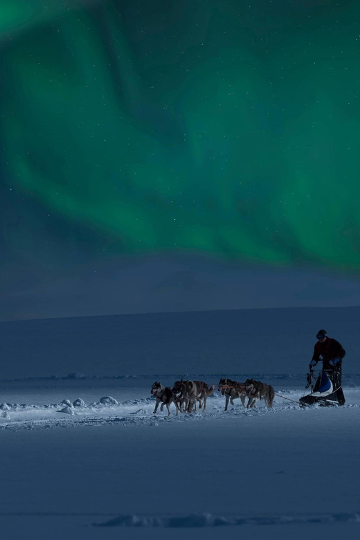 Alta: Dog Sledding Trip under the Northern Lights - Coffee, snacks, and stories at Gargia Lodge