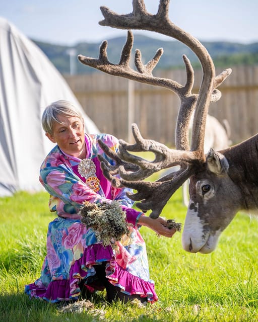 Alta: Reindeer - A carrier of Sámi Culture - Key points at a glance