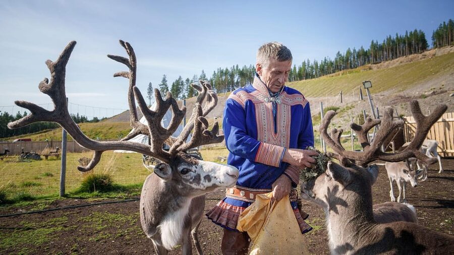 Alta: Reindeer - A carrier of Sámi Culture - Inside the lavvu tent with a Sámi guide