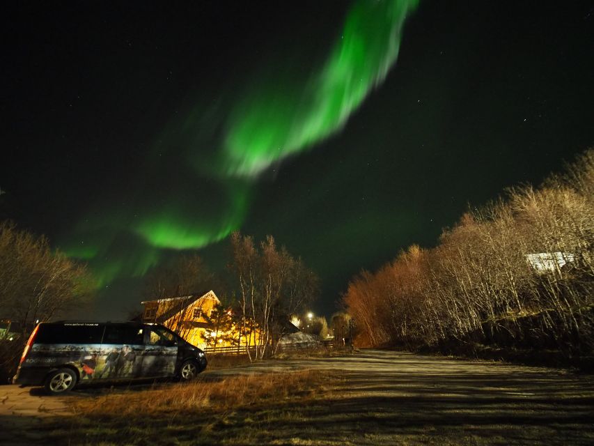 Alta: Small-Group Guided Northern Lights Tour - Why this Alta aurora hunt works better than waiting in town