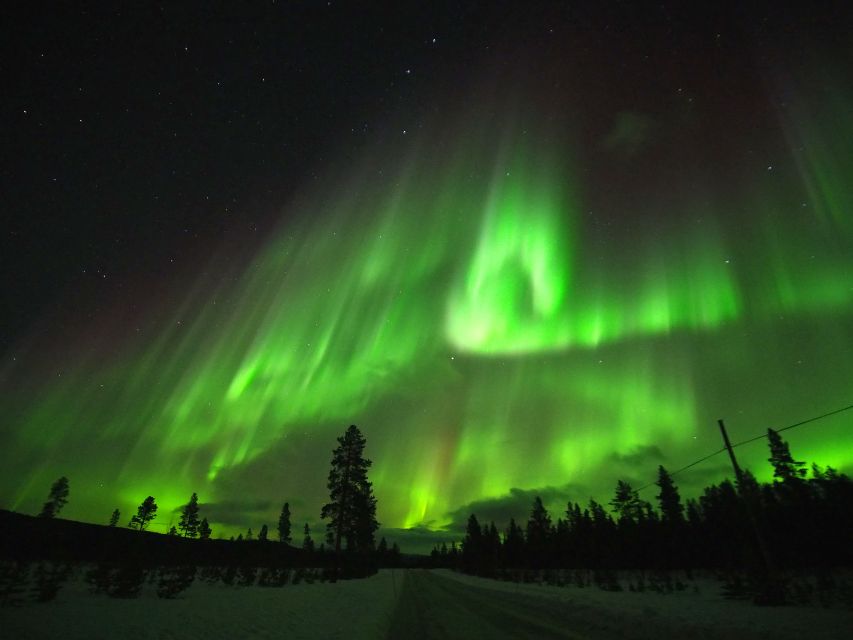 Alta: Small-Group Guided Northern Lights Tour - Chasing clear skies around Alta Fjord