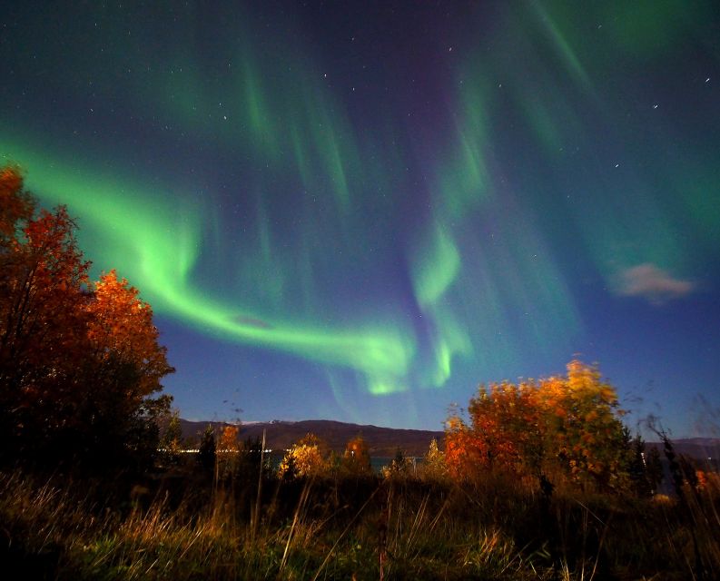 Alta: Small-Group Guided Northern Lights Tour - Taking photos without missing the real show