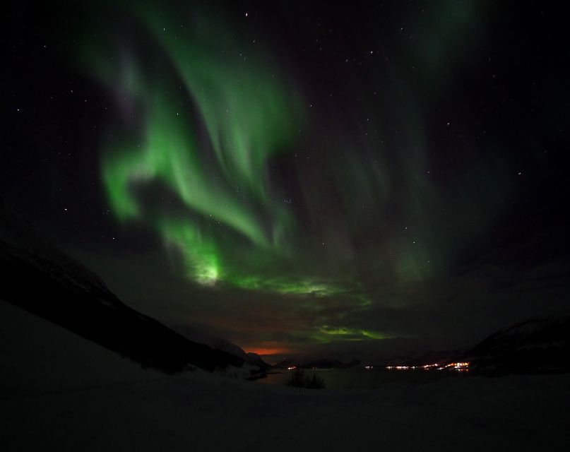 Alta: Small-Group Guided Northern Lights Tour - Who will enjoy this most?
