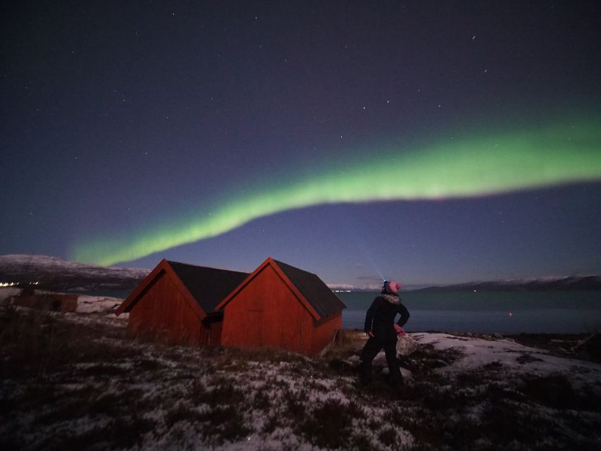 Alta: Small-Group Guided Northern Lights Tour - Meeting the guide and setting the plan