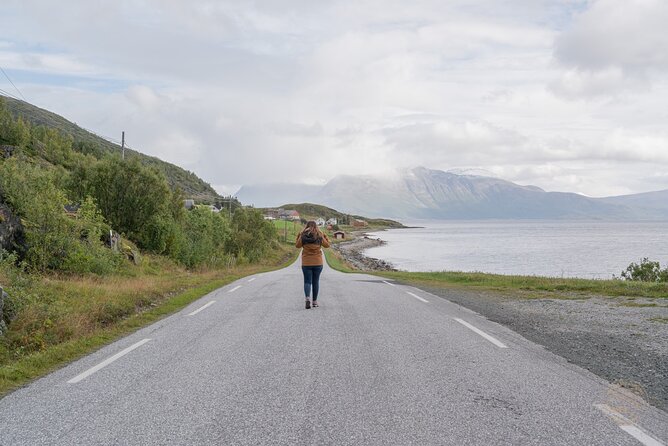 Arctic Fjord Roadtrip with Scenic Picnic from Tromso - Fjords, lakes, and beaches along the route