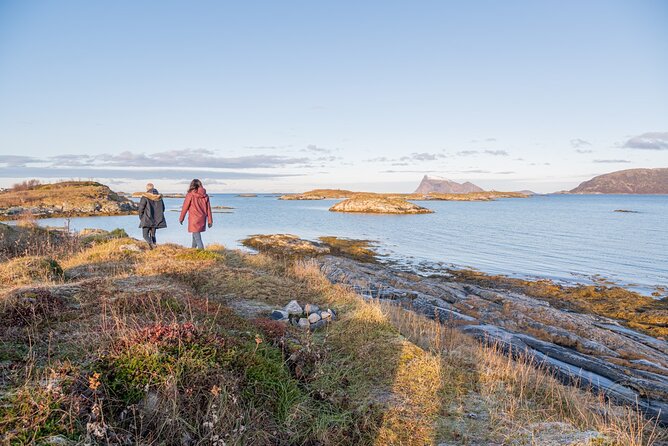 Arctic Fjord Roadtrip with Scenic Picnic from Tromso - Sommarøy and the picnic stop