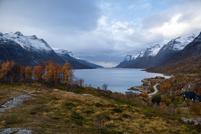 Arctic Fjord Roadtrip with Scenic Picnic from Tromso - How the guides handle changing weather