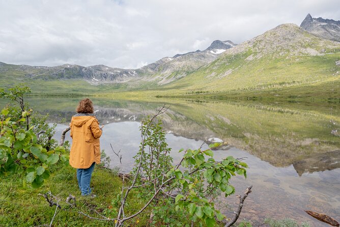 Arctic Fjord Roadtrip with Scenic Picnic from Tromso - Who will enjoy this five-hour outing