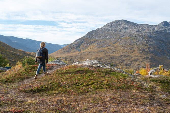 Arctic Fjord Roadtrip with Scenic Picnic from Tromso - The drive across Kvaløya