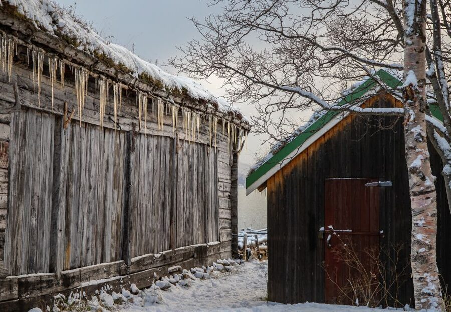 Arctic Nature Tour from Tromsø - Key points to know before you book