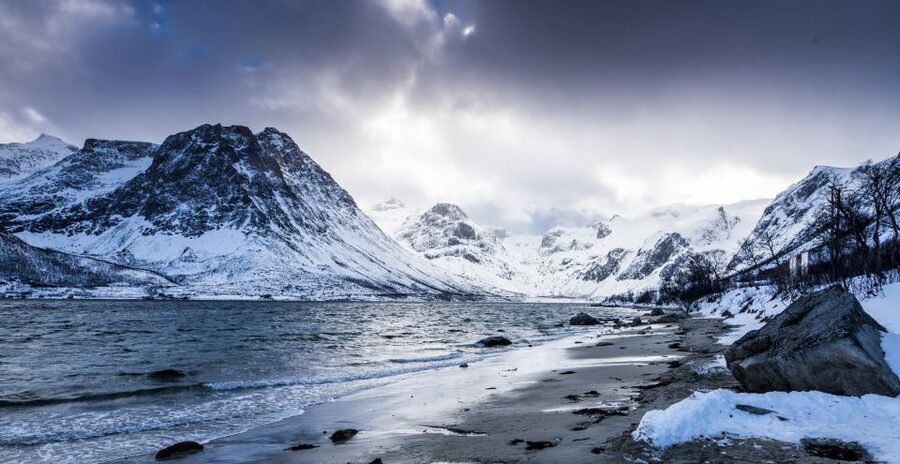 Arctic Nature Tour from Tromsø - Wildlife stops without false promises