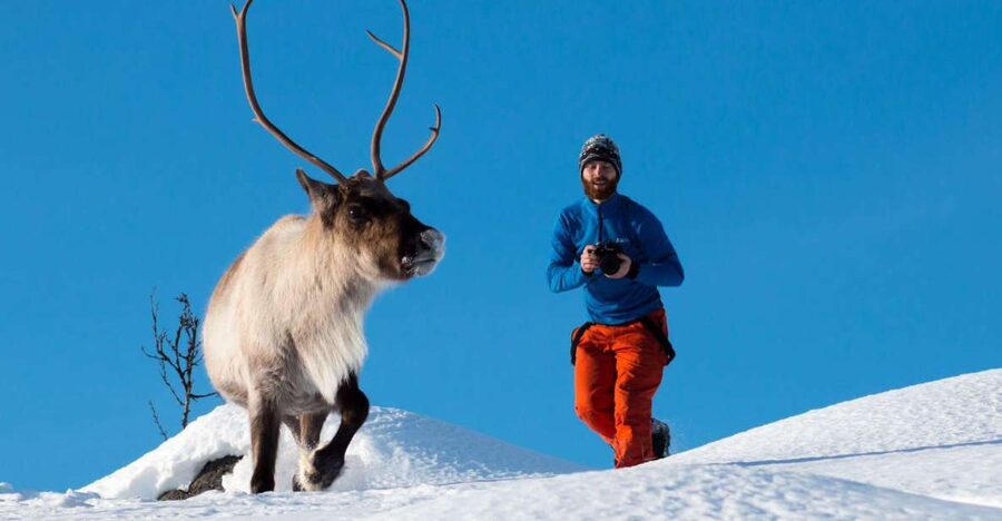 Arctic Nature Tour from Tromsø - Outdoor comfort, hot drinks, and a simple lunch