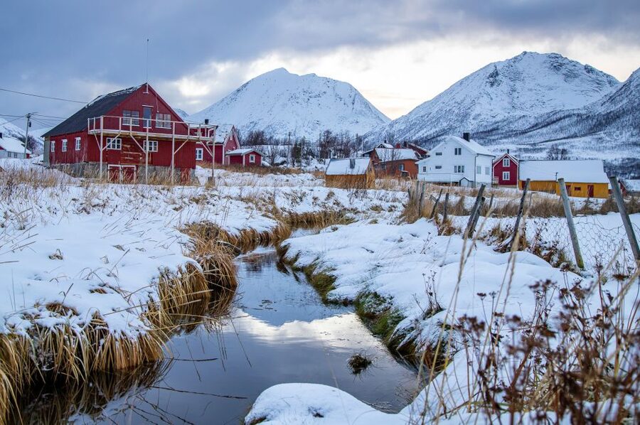 Arctic Nature Tour from Tromsø - Guide-led photography and the free photo package