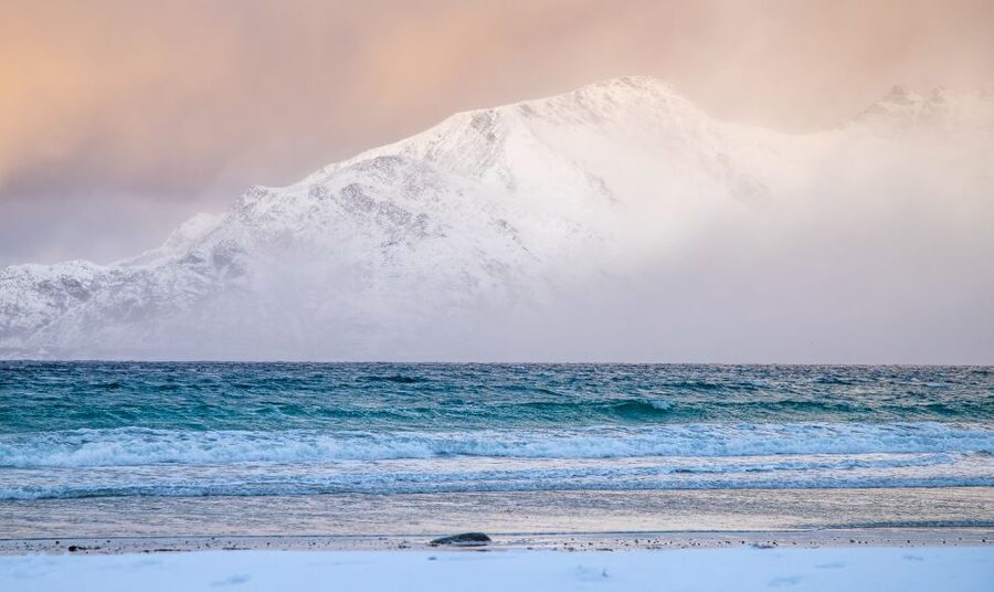 Arctic Nature Tour from Tromsø - A five-hour pace that covers plenty
