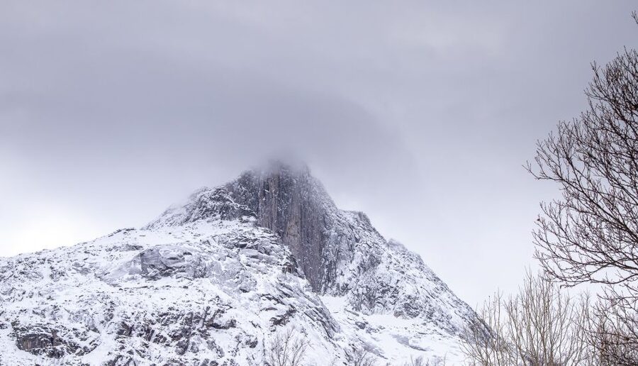 Arctic Nature Tour from Tromsø - Is $142 good value?