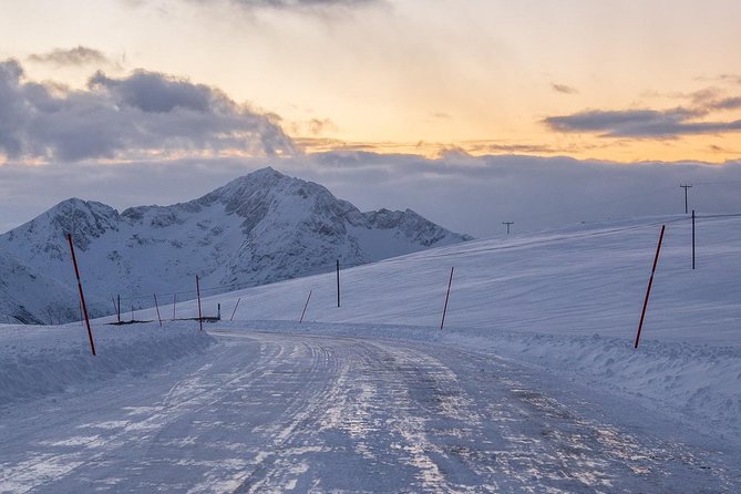 Arctic Nature Tour from Tromsø by minibus - Photography is part of the product