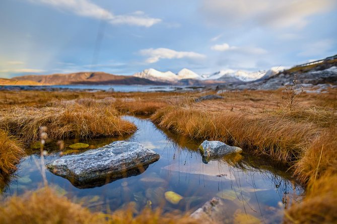 Arctic Nature Tour from Tromsø by minibus - Is $156.55 a fair price?