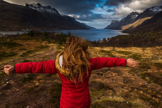 Arctic Nature Tour from Tromsø by minibus - My verdict on this five-hour Arctic trip