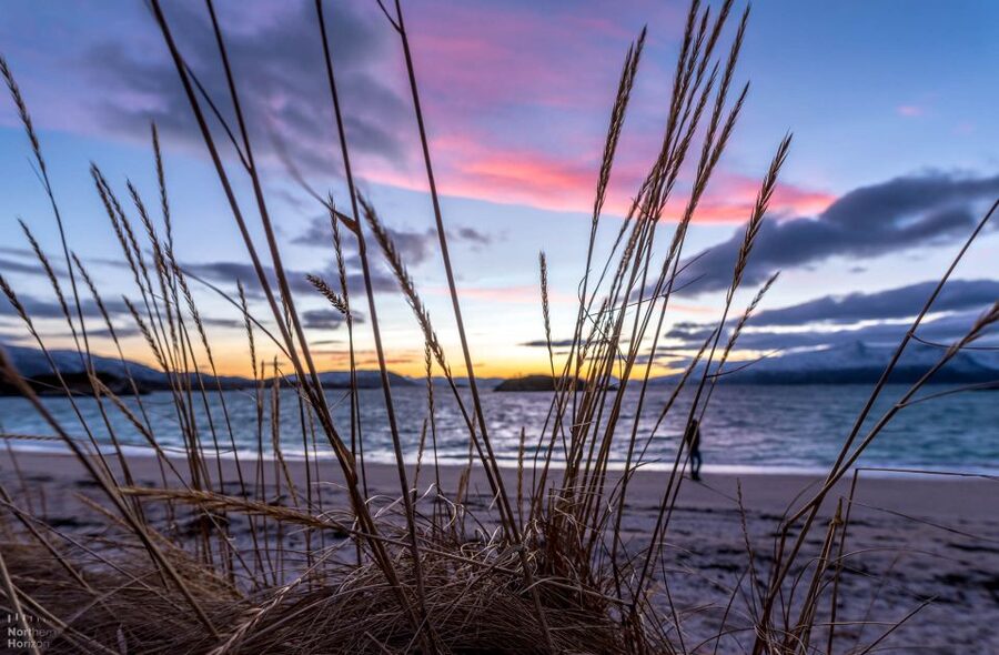 Arctic Nature Tour from Tromsø - Fjords, mountains, beaches, and villages