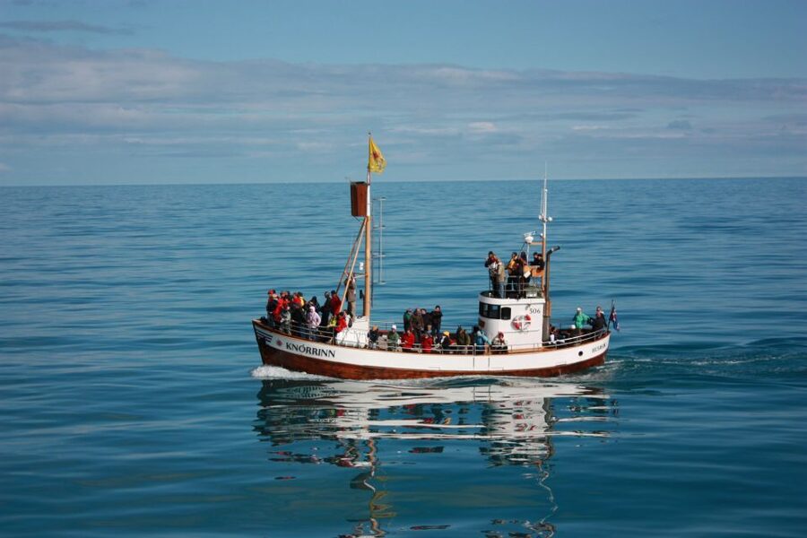 Árskógssandur: Whale-Watching Boat Trip - Who should book this Árskógssandur cruise