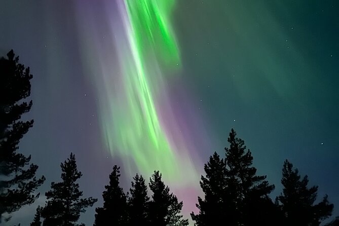 Aurora Hunting with Reindeer Caravan - Leaving Kiruna at 5:30 p.m.