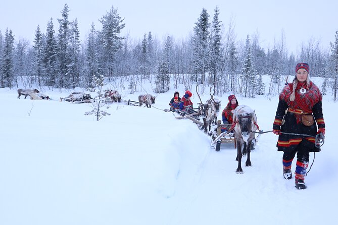 Aurora Hunting with Reindeer Caravan - How the northern lights fit into the evening