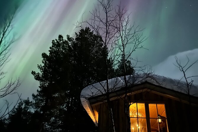 Aurora Hunting with Reindeer Caravan - Is the $321 price good value?