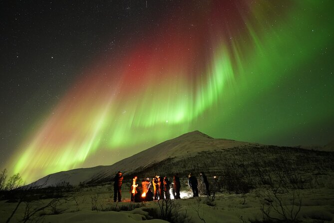 Aurora tour with free portrait and bonfire - A serious aurora chase from Tromsø