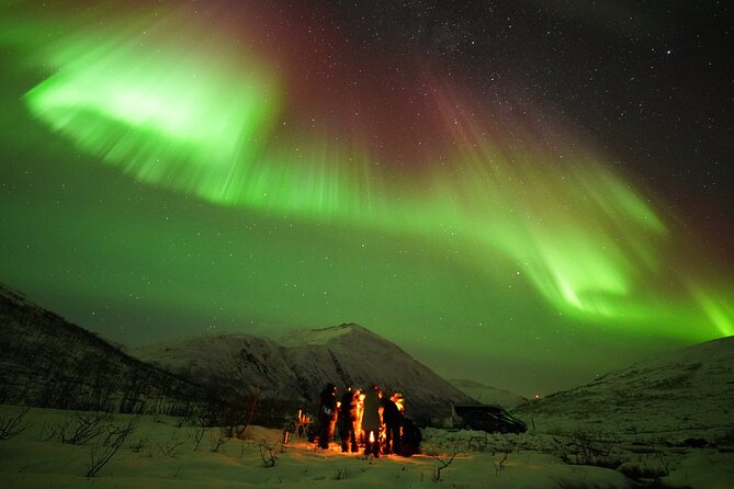 Aurora tour with free portrait and bonfire - The bonfire, cake, and thermal suit