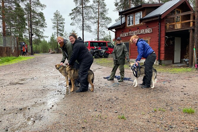 Autumn Husky Sit and Drive Cart Tour from Kiruna - Key points about the autumn husky cart ride