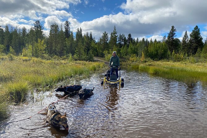 Autumn Husky Sit and Drive Cart Tour from Kiruna - Arriving at Husky Tours Lapland near Svappavaara