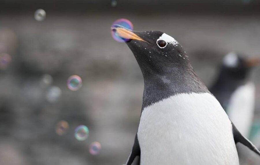 Bergen: Bergen Aquarium Entry Ticket - What you actually get for the $40 ticket