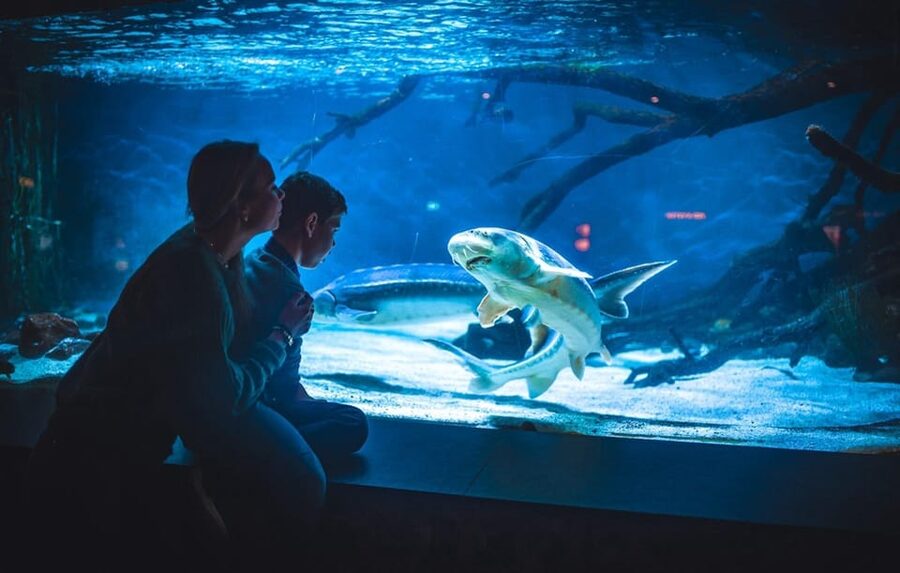 Bergen: Bergen Aquarium Entry Ticket - Crocodiles, snakes, and geckos broaden the visit