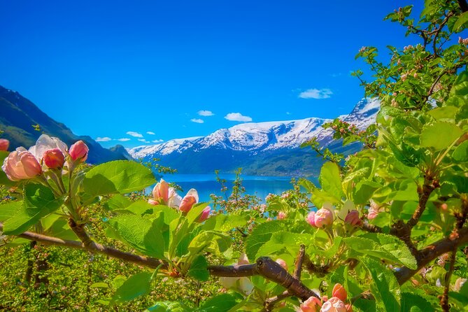 Bergen Beyond Day trip - Walking behind Steinsdalsfossen