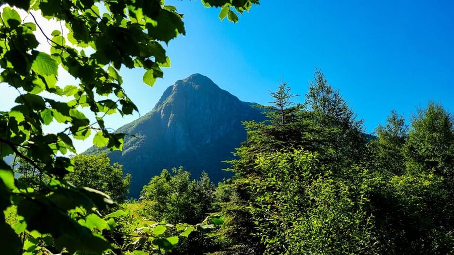 Bergen: Cruise to beautiful Rosendal by the Hardangerfjord - Is $91 a fair price for seven hours?