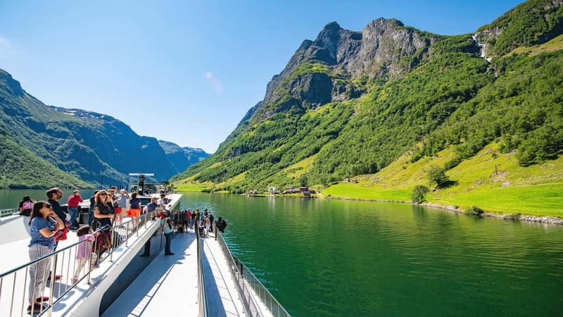 Bergen: Flam Railway, Stegastein and Fjord Cruise Day Tour - Guides, group size, and the human side