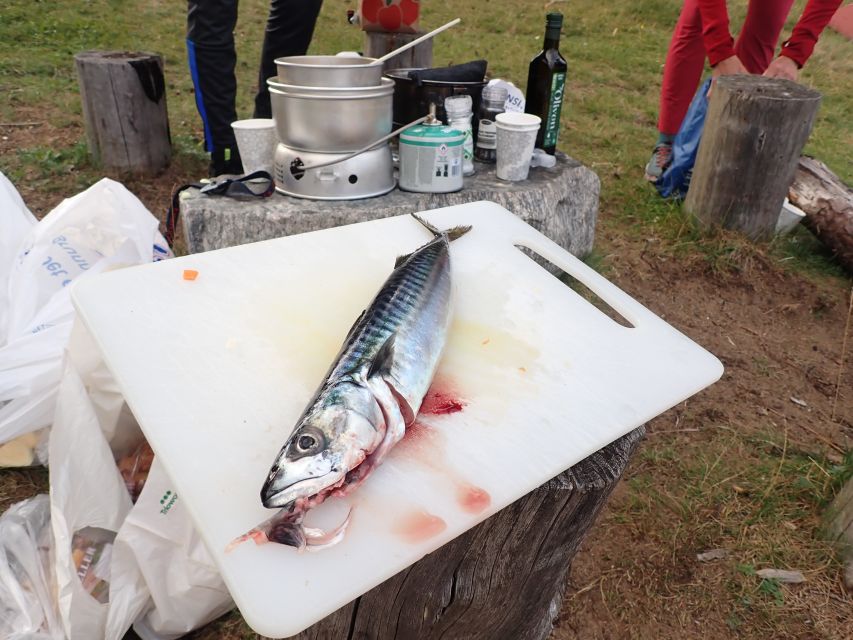 Bergen: Guided Fishing Tour with Outdoor Cooking - Timing, cancellations, and practical planning