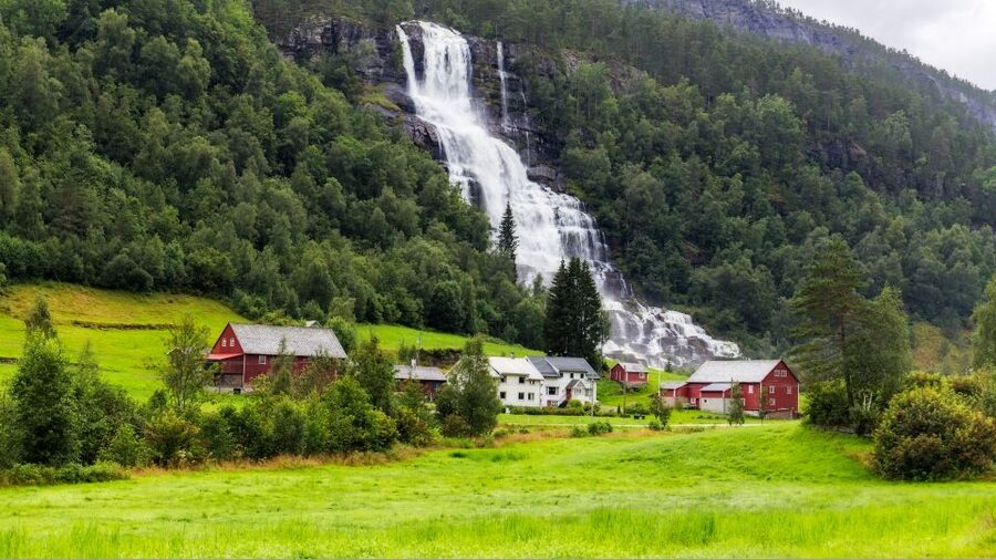 Bergen: Guided Fjord & Glacier Tour to Fjærland - The ferry turns the fjord into the main event