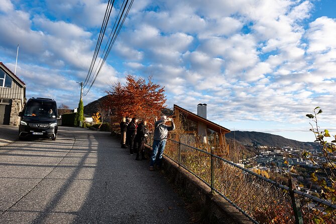 Bergen: Guided Tour by Minibus with Local Guide & Photostops - Torgallmenningen, the cathedral, and everyday Bergen