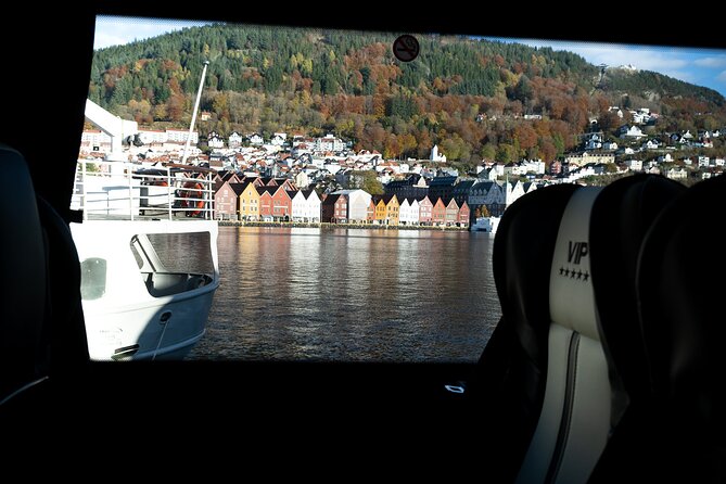Bergen: Guided Tour by Minibus with Local Guide & Photostops - Solheimsviken and the story of new Bergen