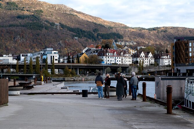 Bergen: Guided Tour by Minibus with Local Guide & Photostops - What the $70.63 price gets you