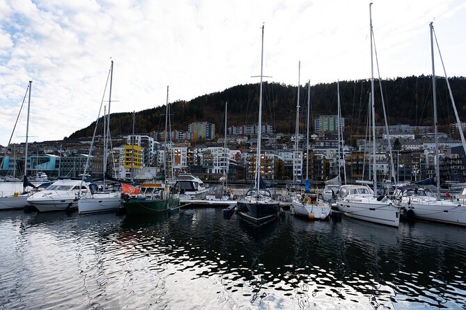 Bergen: Guided Tour by Minibus with Local Guide & Photostops - Starting at Bergenhus Fortress and the harbor