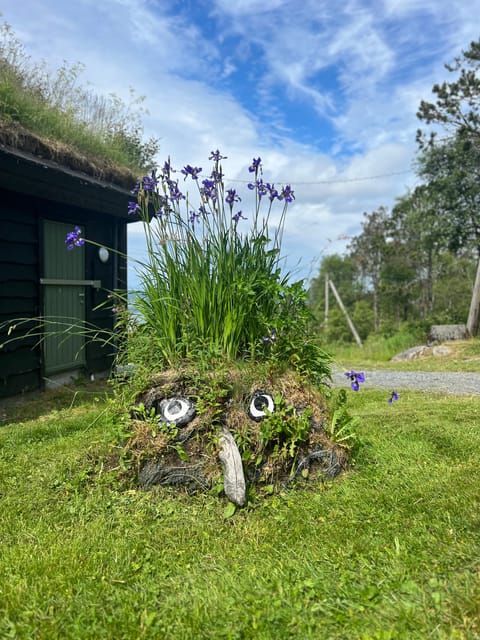 Bergen Magical Nature Tour | ViFlowExperience - From Bergen Cathedral to Fløyen in 10 minutes