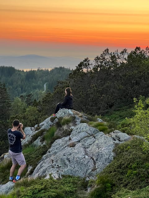 Bergen Magical Nature Tour | ViFlowExperience - Fløyen’s views are only the beginning