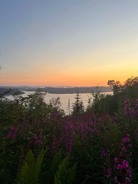 Bergen Magical Nature Tour | ViFlowExperience - What you learn on the trail